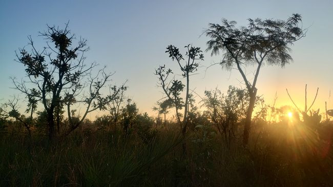 IMG_20230516_165312610_HDR