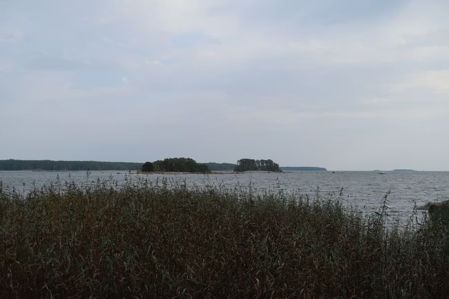 IMG_5702