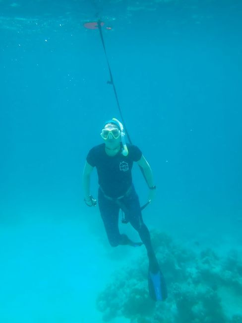 IMG-20250311-WA0025