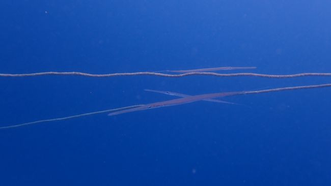 P3151837
