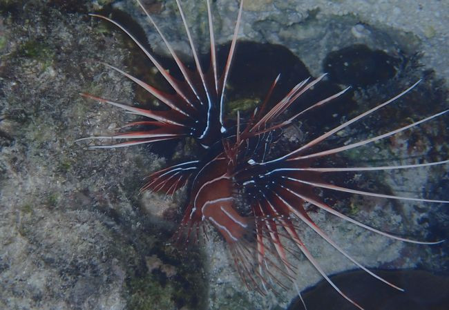 P3090178