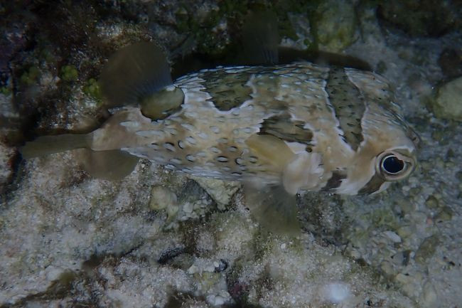 P3090129
