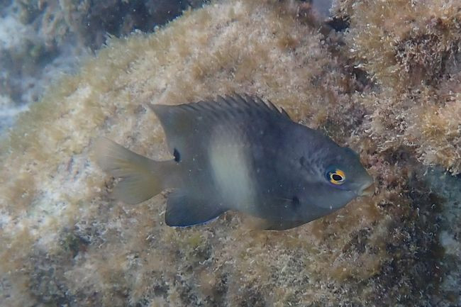 P3100828