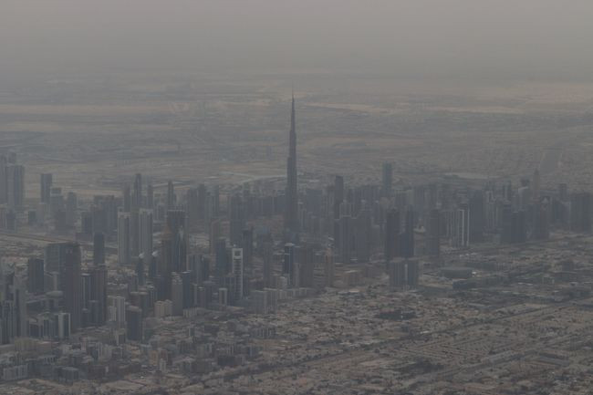 mMG_7927