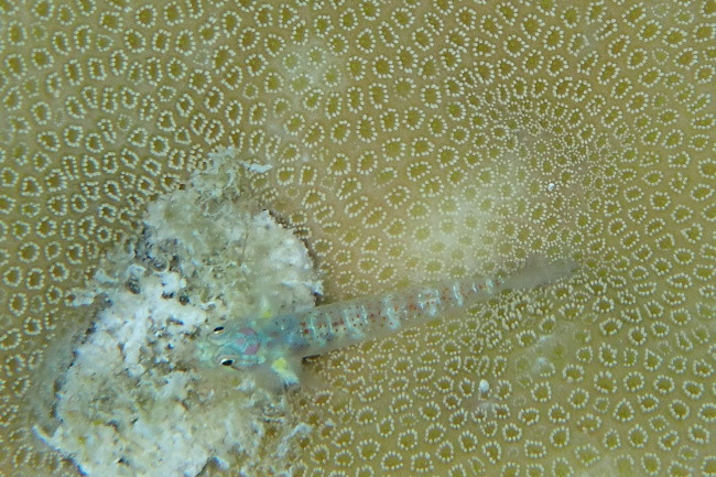 P3110107