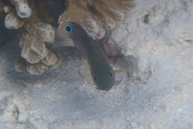P3110221