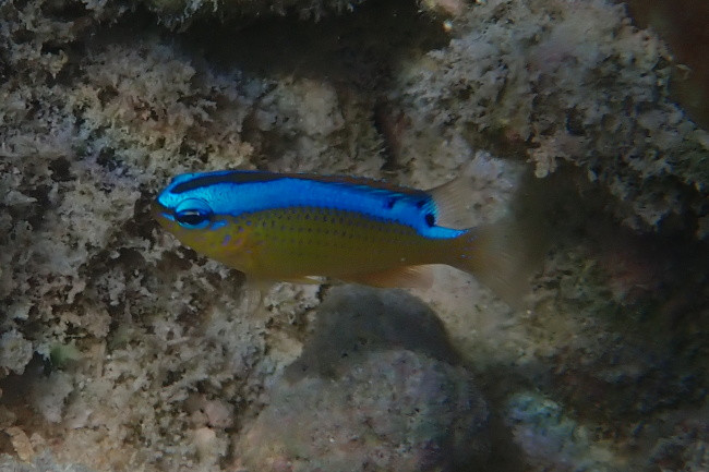 P3111006
