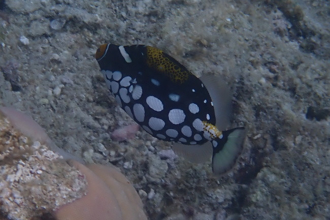 P3111059