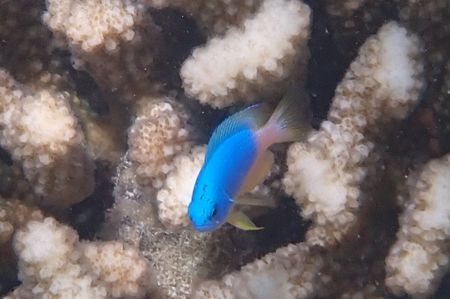 P3111506