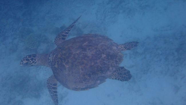 P3111512