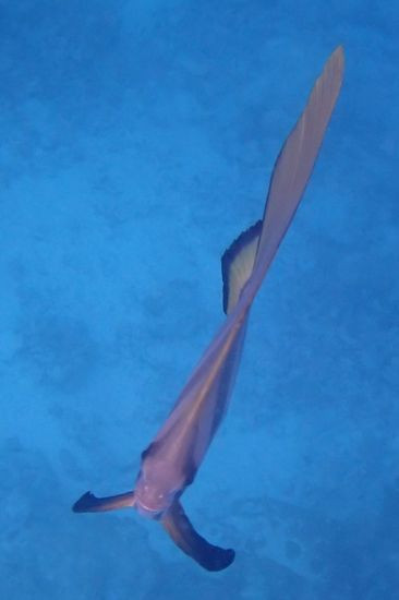 P3120284