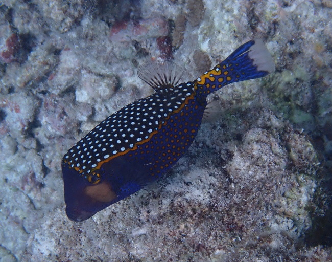 P3120557