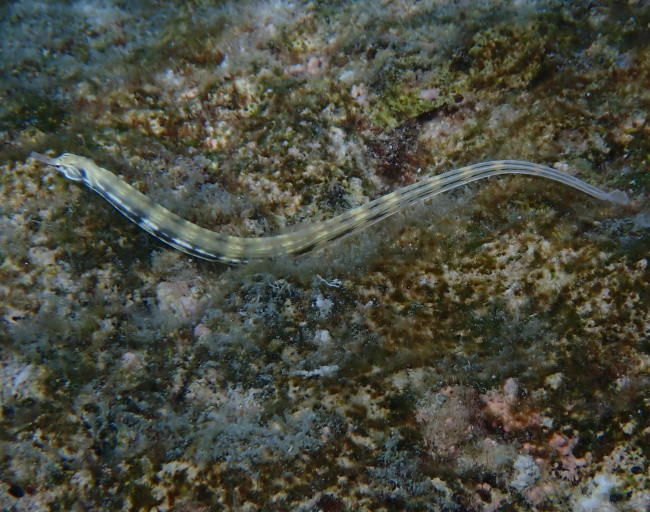 P3120683