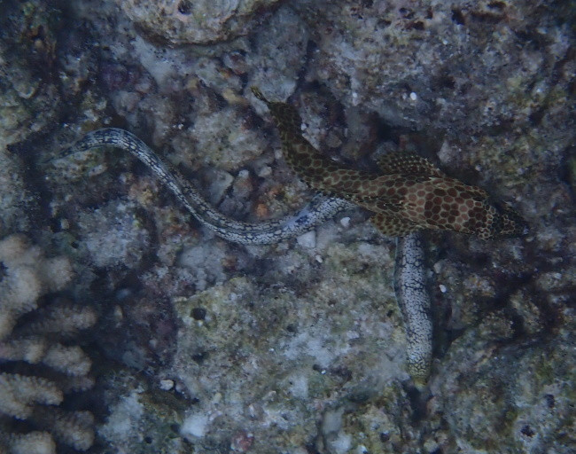 P3120428