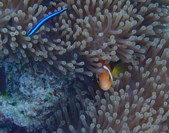 P3120729
