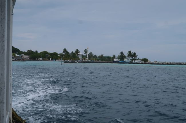 IMG_8228