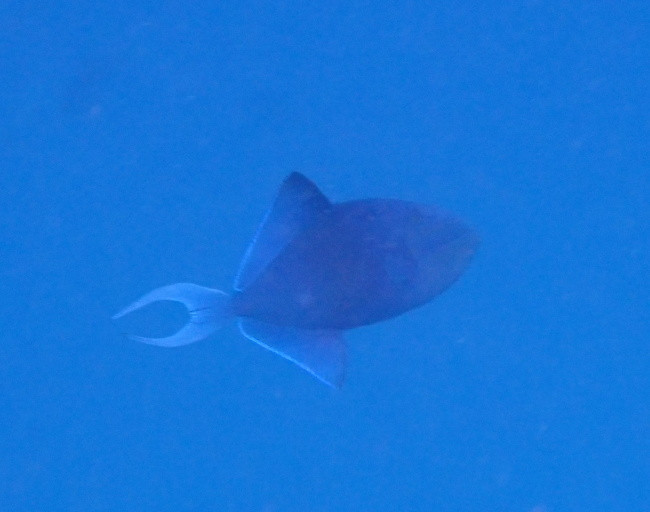 P3120289