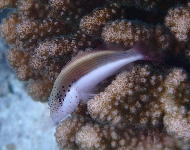 P3120344