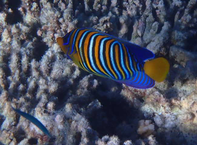 P3130960