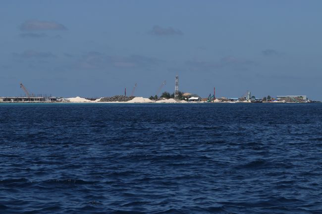 mMG_8596