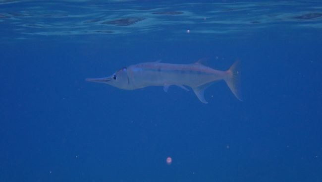 P3140492