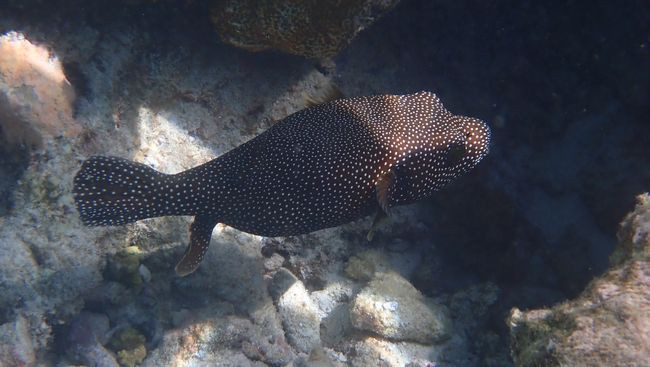 P3151391