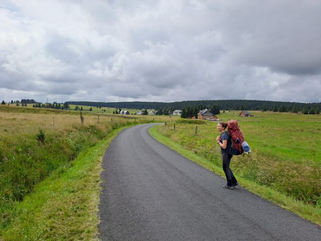 IMG-20250802-WA0037