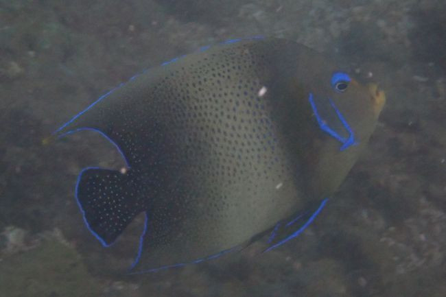 P3222402