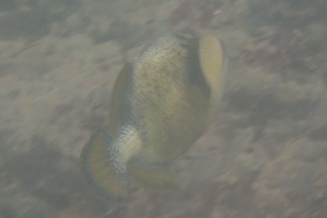 P3222264
