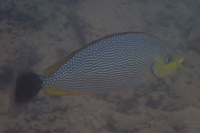 P3222318