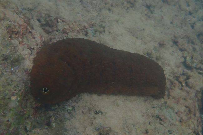 P3222437