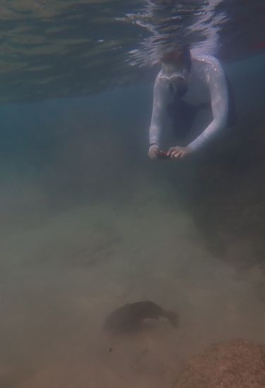 P3232532