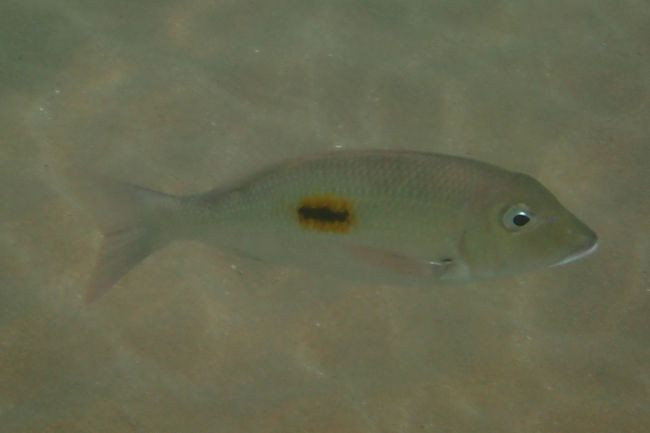 P3232597