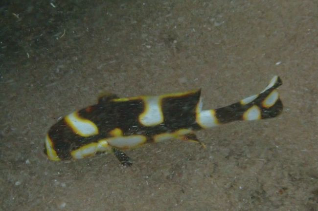 P3232815
