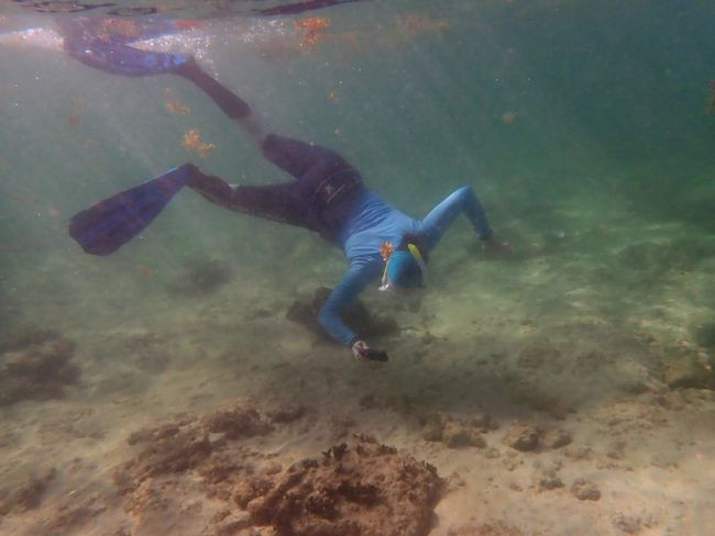 20250914 snorchl prvni den 2