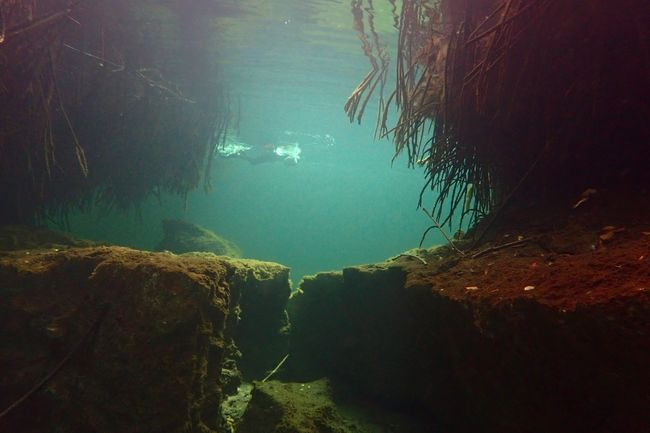 20250915 Casa Cenote 4