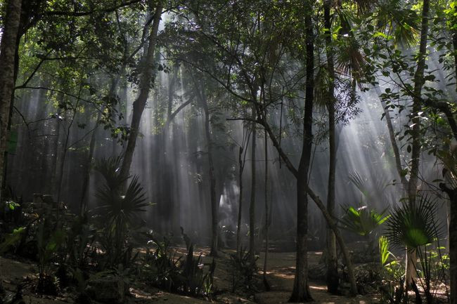 20250915 Dos Ojos 10