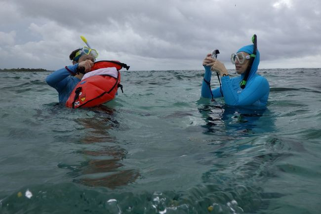 Honza meneni baterek