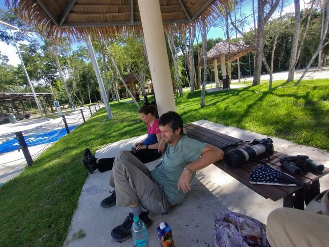 20250920 Calakmul 11