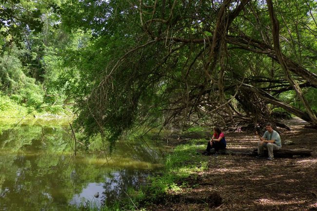 20250920 Calakmul 14